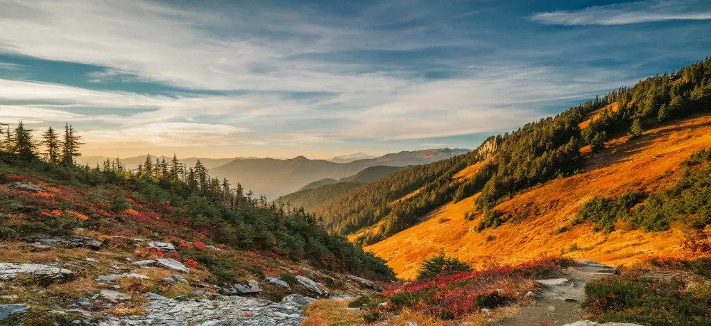 A picturesque view on a trail along Ha Ling Peak on a fall day near Canmore.