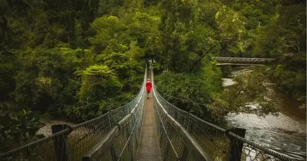 Woman in a red coat crosses a bridge on a Hutt Valley Wellington hike 