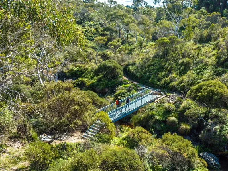 People walking on a bridge above lush greenery at Blue Mountains Walking Tracks.