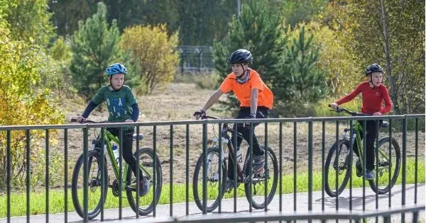 Family ride crossing a bridge on a Wellington bike trail