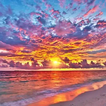 Sunrise view of beach - Lexis Hibiscus