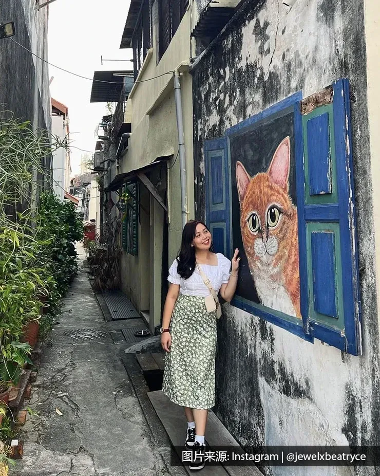 槟城街头艺术: 窗边的猫 - 槟城丽昇豪华酒店