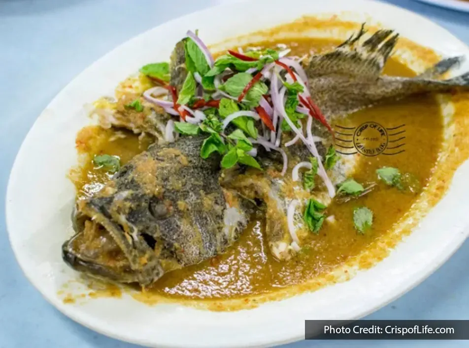 Steamed laksa grouper fish served with gravy and fresh herbs at Good Friend Seafood
