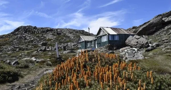 Wooden green house perched high above a craggy cliff