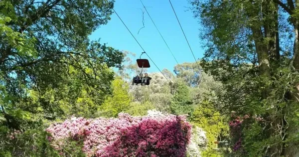 Two people ride the Cataract Gorge Chairlift