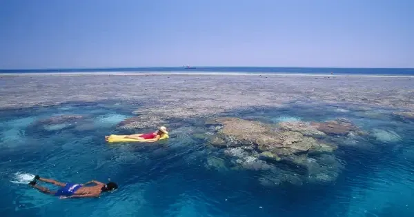 Couple snorkel the world famous Great Barrier Reef on a day tour