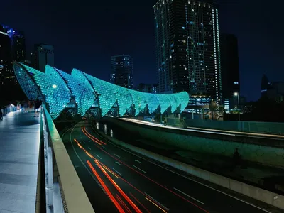saloma bridge bluelight