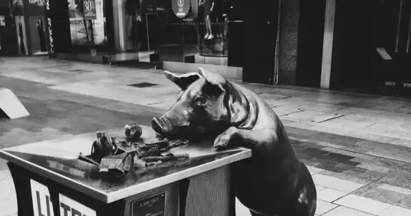 Bronze pig sculpture leaning on a bin in Rundle Mall