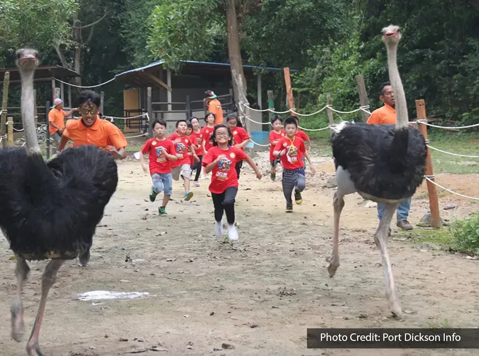 Kids having fun in PD Ostrich & Pet Shows Farm