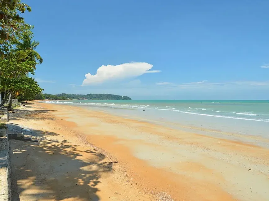 A serene beach featuring a sandy shore lined with trees under a clear blue sky - Lexis Port Dickson