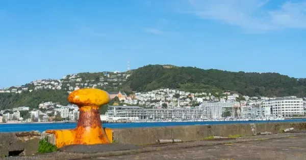 Oriental Bay in Wellington