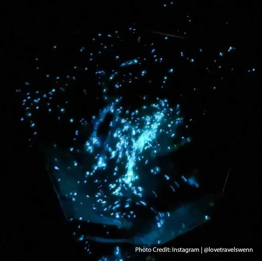 A captivating display of blue tears resembling a heart shape - Lexis Suites Penang