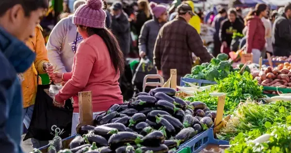 Close-up of fresh vegetables at an Auckland market