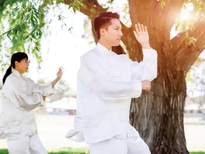 Two individuals practicing tai chi in a serene outdoor setting - Lexis Hotels & Resorts