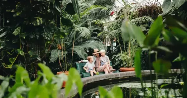 Mother and children sit in the Wellington Botanic Gardens surrounded by lush ferns