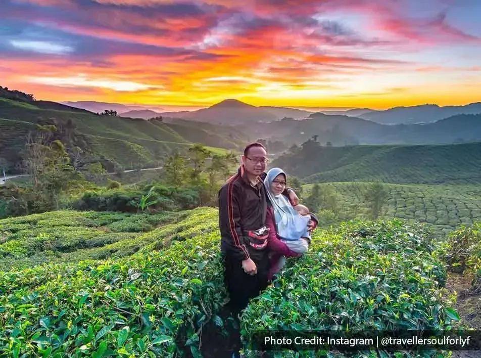 Create unforgettable memories with your loved ones when you visit the green lands of Cameron - Lexis Hibiscus 