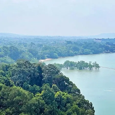 View of tropical greenery surrounding a peaceful lakeside.