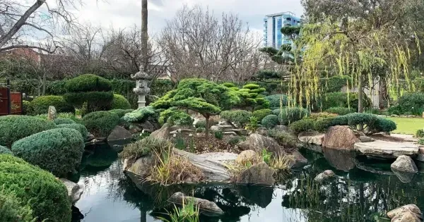 Japanese-style garden with a pond, stone lantern, and manicured greenery at Adelaide’s Himeji Gardens
