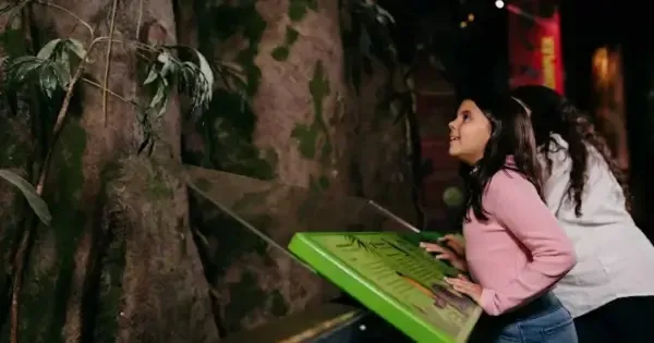 Young girl looking at trees in museum
