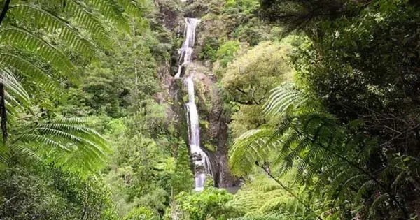 Waterfall and tropical trees at Kitekite Falls