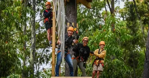Family of four climbing tree in Adelaide CBD