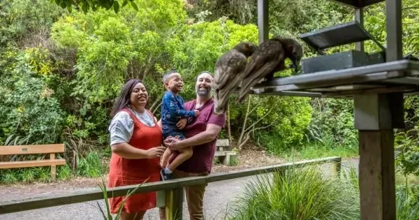 A young family watches native birds at Zealandia
