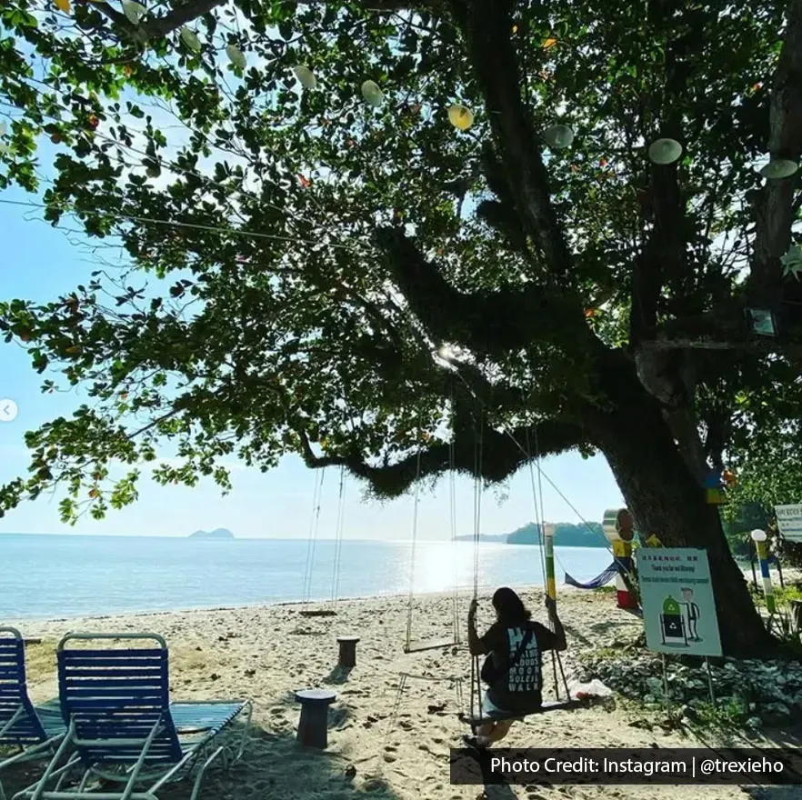Beachfront swing under shady tree near Hai Boey Seafood