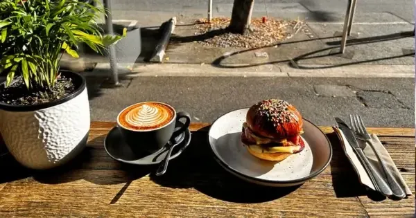 Coffee and gluten-free burger side by side overlooking street view