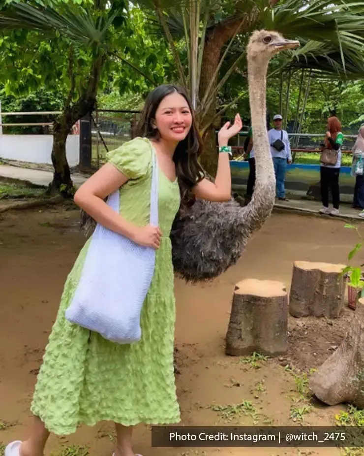 Enjoy your trip in PD with the amazing animals in this farm - Lexis Hibiscus PD