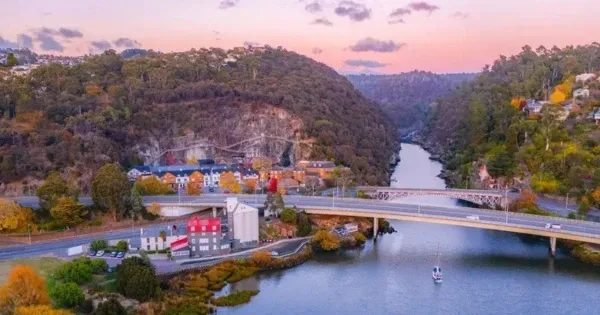 Aerial view of Cataract Gorge and harbour
