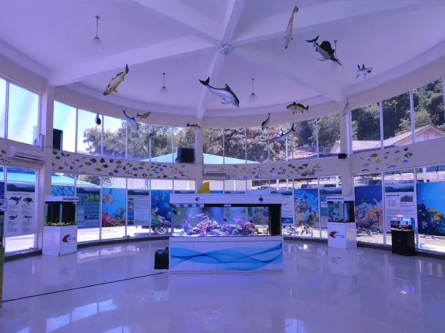  An aquarium showcasing various fish and decorative items at the Ornamental Fish Centre - Lexis Port Dickson