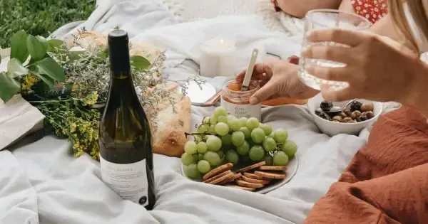 Gourmet picnic in a blooming vineyard in Hobart region