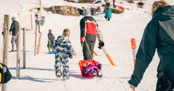 Children and parents enjoy the tobogganing at Ben Lomond National Park.