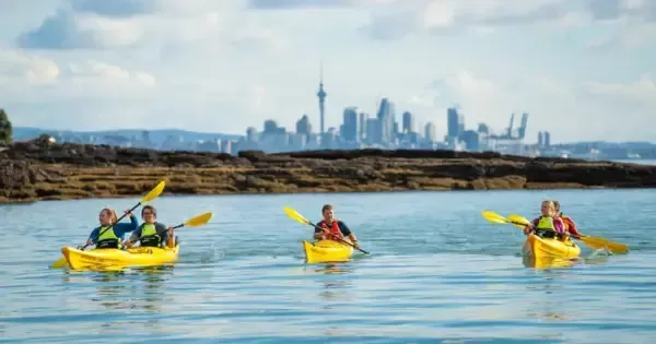 A group of sea kayakers in Auckland.