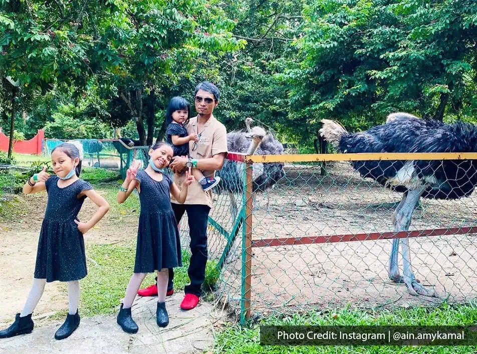 Seorang bapa bersama tiga anak perempuan bergambar di hadapan kandang burung unta di zoo mini dengan suasana hijau semula jadi - Lexis Hibiscus Port Dickson