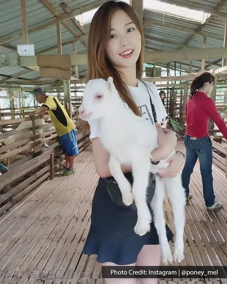 Woman smiling while carrying a young goat at Saanen Dairy Goat Farm