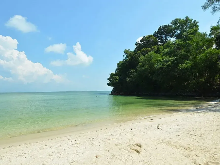 A sandy beach with lush trees lining the shore under a clear blue sky - Lexis Port Dickson
