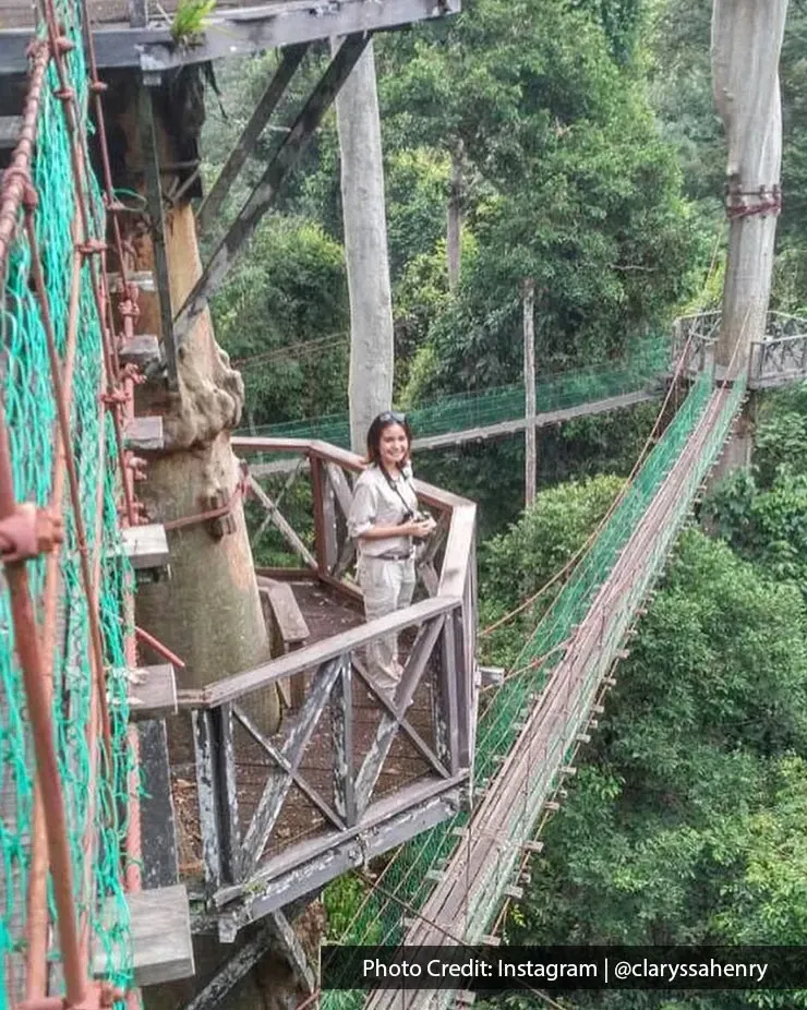 Woman standing on a canopy platform at Borneo Rainforest Lodge.