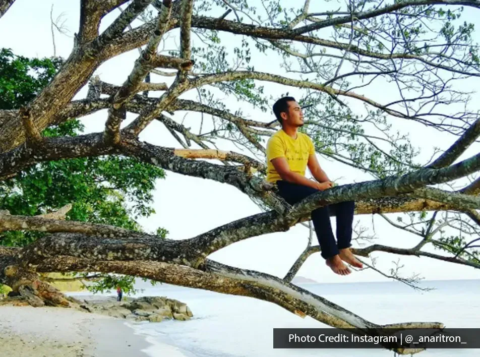 Man sitting on a large tree branch by the beach at Tanjung Asam