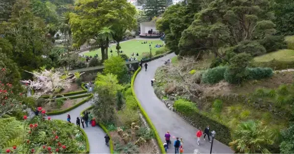 Aerial view of visitors walking through the luscious Wellington Botanic Gardens