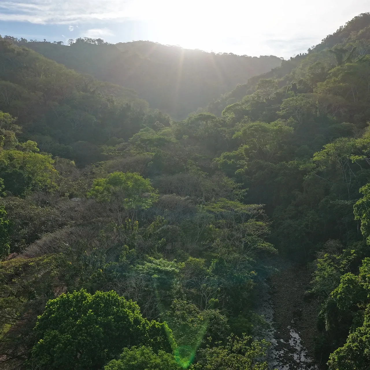 Parque Nacional Carara