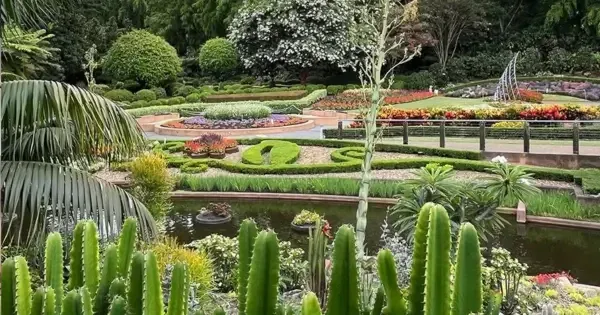 lush cacti, manicured gardens and bright blossoms at a park