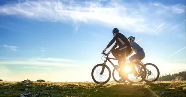 Mountain bikers riding at sunset in Wellington
