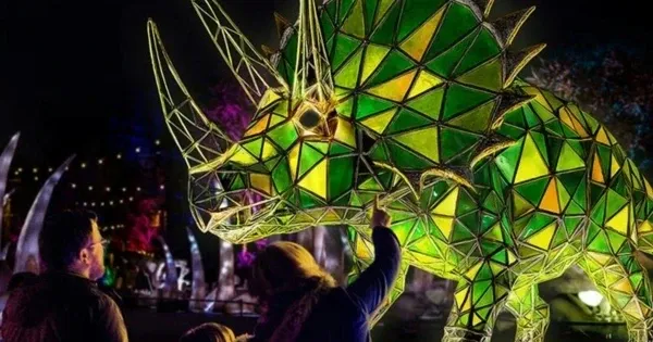Adelaide Zoo dinosaur exhibition at Illuminate Adelaide