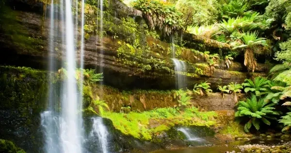 Russell Falls tumbling down tiered rock through lush rainforest in Mount Field National Park
