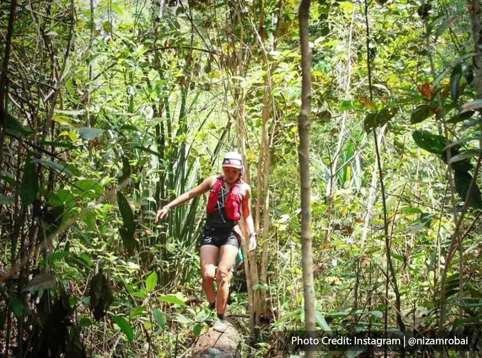 Jungle trekking in forest PD
