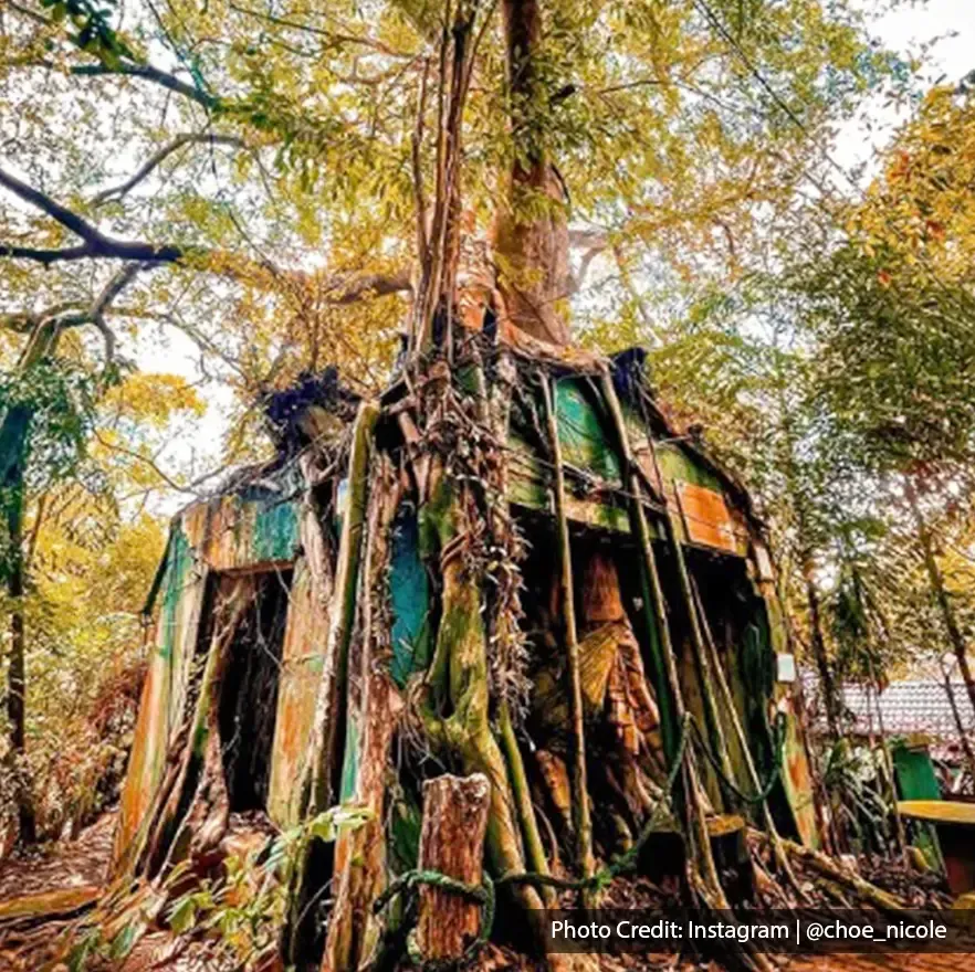 Tree surrounding wartime building at Penang War Museum – Lexis Suites Penang