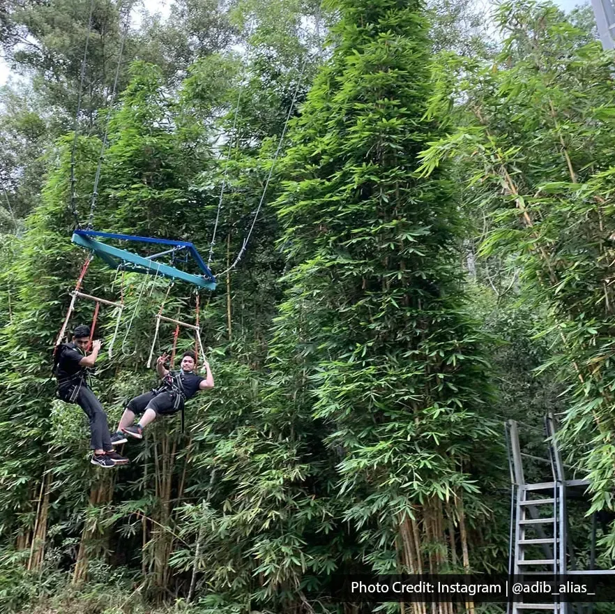 Two visitors enjoying a giant swing adventure among tall trees at Escape Theme Park Penang