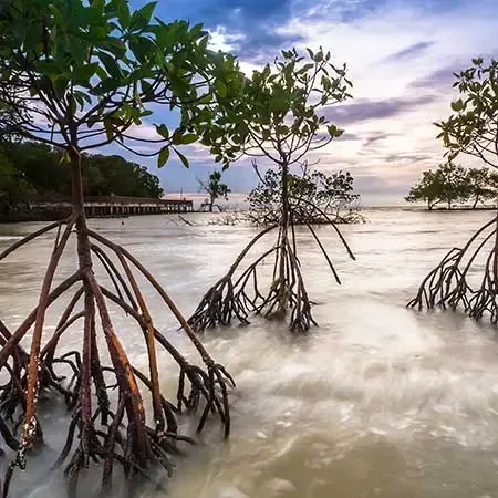 Instagrammable Spots in Port Dickson that should be on your feed - Lexis Hibiscus PD