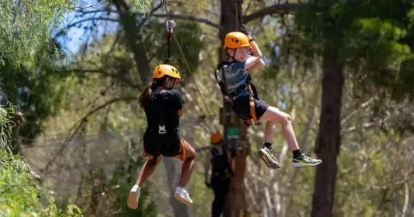 Two children zip-lining through trees at TreeClimb Adelaide wearing safety harnesses and helmets